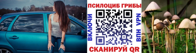 Галлюциногенные грибы MAGIC MUSHROOMS  маркетплейс как зайти  Черноголовка 
